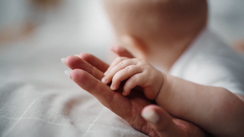 A Baby’s Hand Gently Holding an Adult’s Hand, Representing the 2016 Births in The US