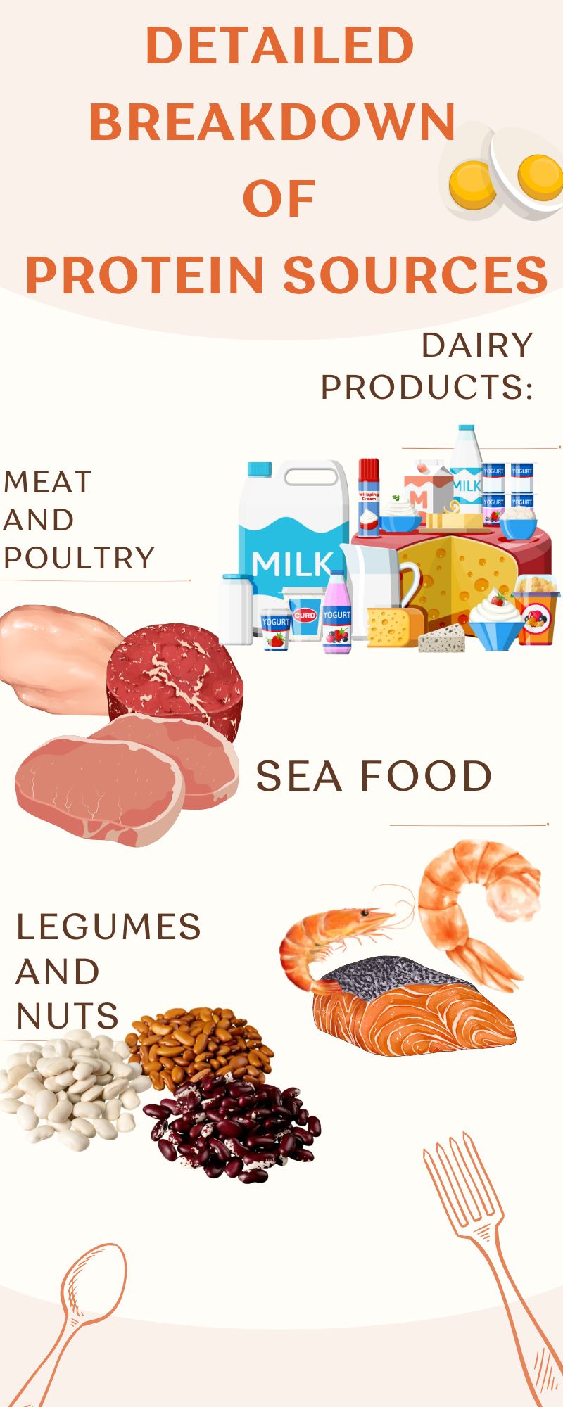 Illustrative Healthy High Protein Foods Infographic