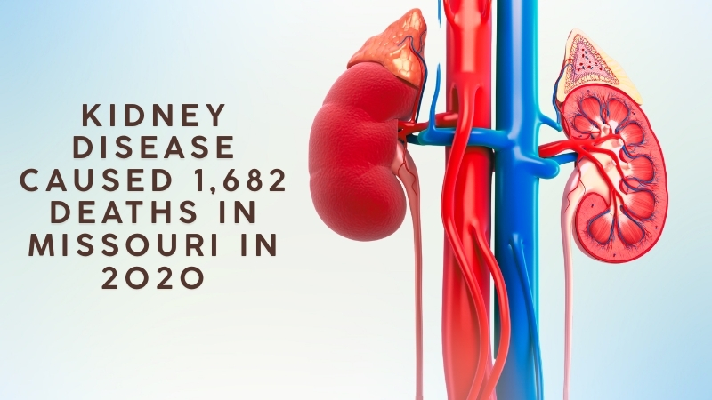 Image of Kidneys with Text Saying Kidney Disease Caused 1,682 Deaths in Missouri in 2020