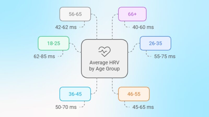 Average HRV by Age Group Chart