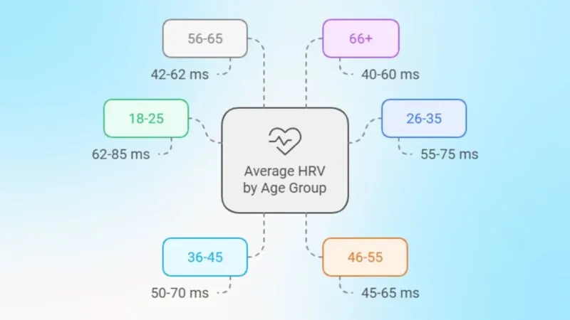 Heart Rate Variability Chart by Age - 2 Key Trends to Know