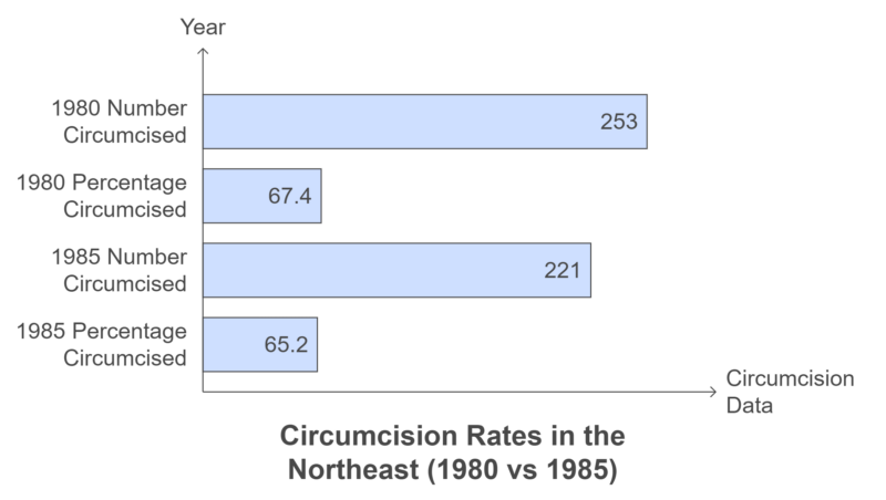 Circumcision Rates in the Northeast (1980 vs 1985) Chart