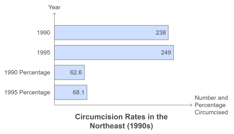 Circumcision Rates in the Northeast (1990s) Chart