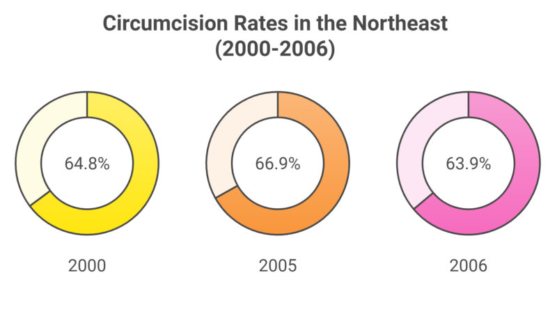 Circumcision Rates in the Northeast (2000-2006) Chart