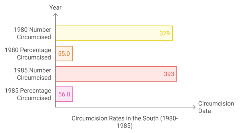 Circumcision Rates in the South (1980-1985) Chart