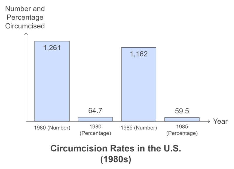 Circumcision Rates in the U.S. (1980s) Chart