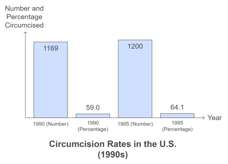 Circumcision Rates in the U.S. (1990s) Chart