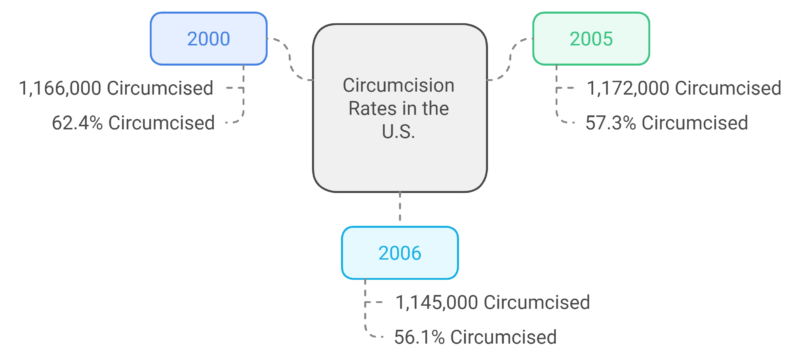 Circumcision Rates in the U.S. (2000-2006) Chart