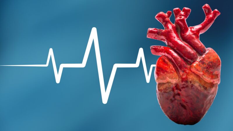 A Detailed Image of A Human Heart Next to An Electrocardiogram (ECG) Line, Symbolizing the Relationship Between Cardiac Arrhythmia and Fluctuations in Heart Rate Variability (HRV)