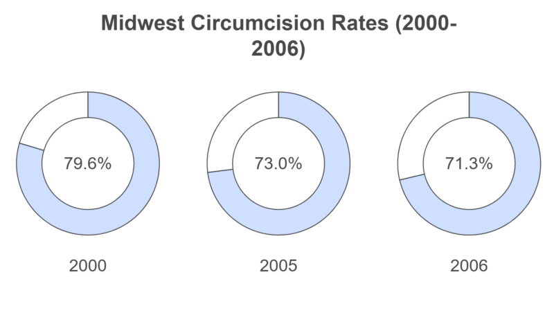 Midwest Circumcision Rates (2000-2006) Chart