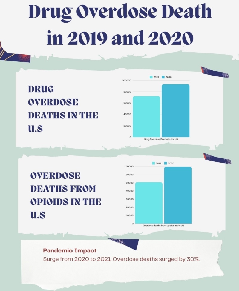 Chart showing drug overdose death data for the years 2019 and 2020