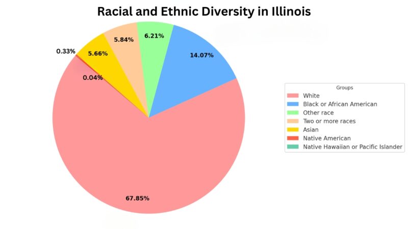 Racial and Ethnic Diversity in Illinois Pie Chart