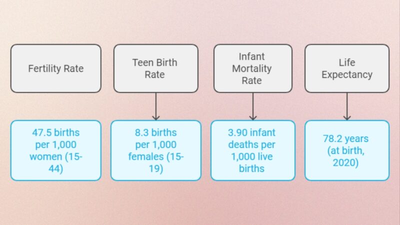 Fertility and Mortality Rates in Rhode Island Chart