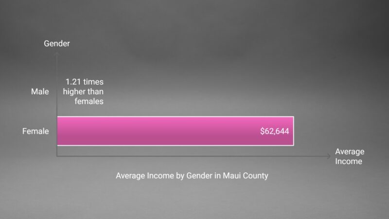 Income and Wage Disparities in Maui County