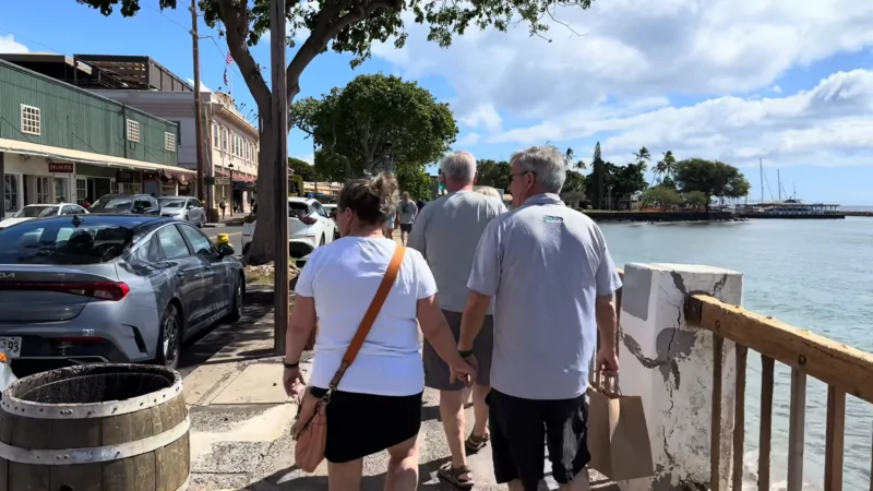 A Group of Older Adults Walking Along a Waterfront Street in Maui, Showcasing the Local Lifestyle and A Snapshot of The Maui Population