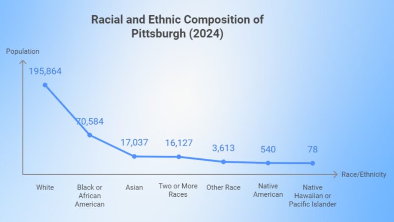 Pittsburgh Demographic Chart