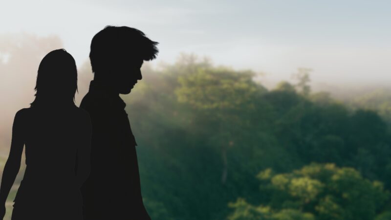 Silhouettes of Two People Standing in Front of A Lush Green Landscape, Symbolizing the Balance Between Population Growth and Sustainability in Maui County