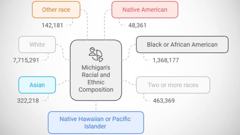 Racial and Ethnic Composition of Michigan's Population Chart