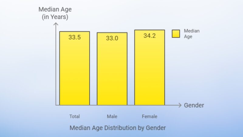 The Median Age in Pittsburgh Chart