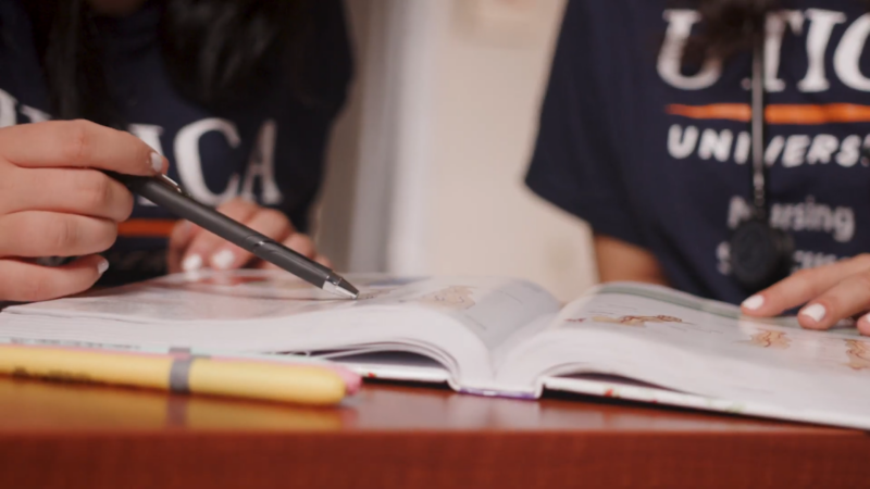 Students Study from Textbooks, Preparing for Exams in An ABSN Program