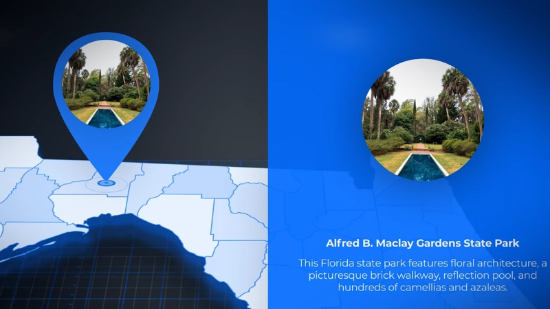 Alfred B. Maclay Gardens State Park with Its Brick Walkway, Reflection Pool, and Lush Greenery