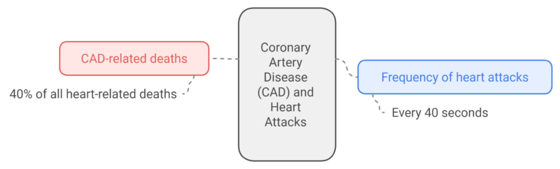 Coronary Artery Disease (CAD) and Heart Attacks in the U.S. Chart