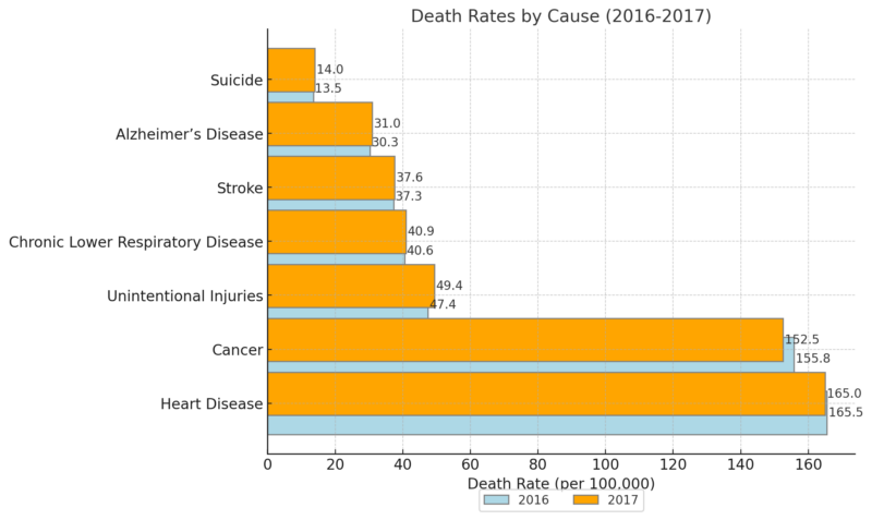 Death Rates By Cause in the US Chart (2016-2017)