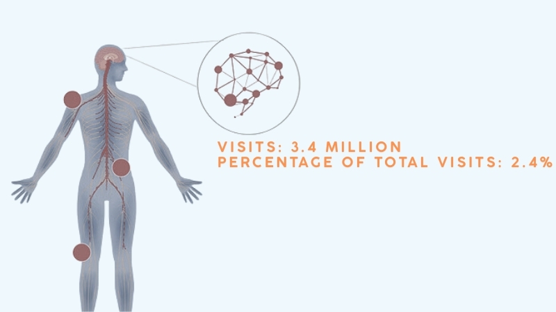 An Illustration of The Human Body with Highlighted Pain Points