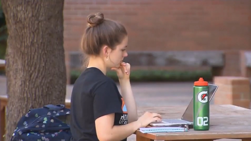 A Nursing Student Studies Outdoors on A Laptop