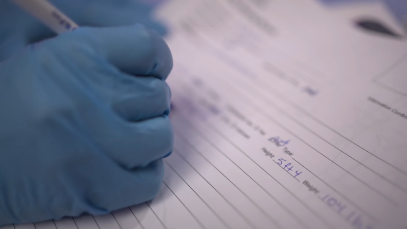 A Person Wearing Gloves Is Filling out A Medical or Forensic Form