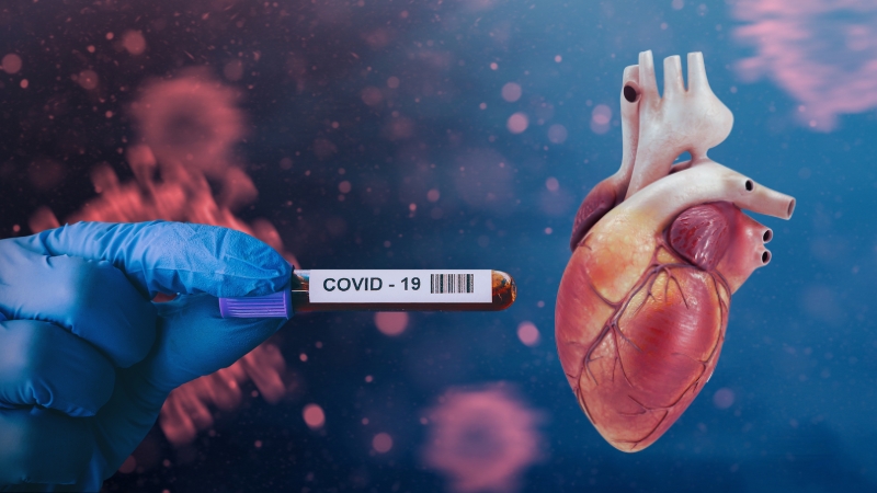 A gloved hand holding a COVID-19 test next to a heart, showing how COVID-19 can affect heart health