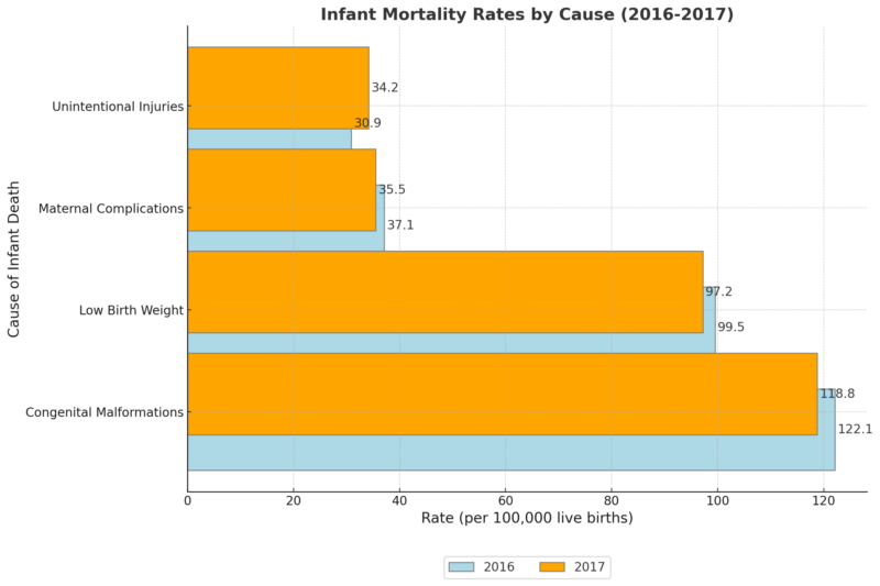 Infant Mortality Rates By Cause in the US Chart (2016-2017)