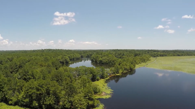 Aerial View of Lake Iamonia in Tallahassee