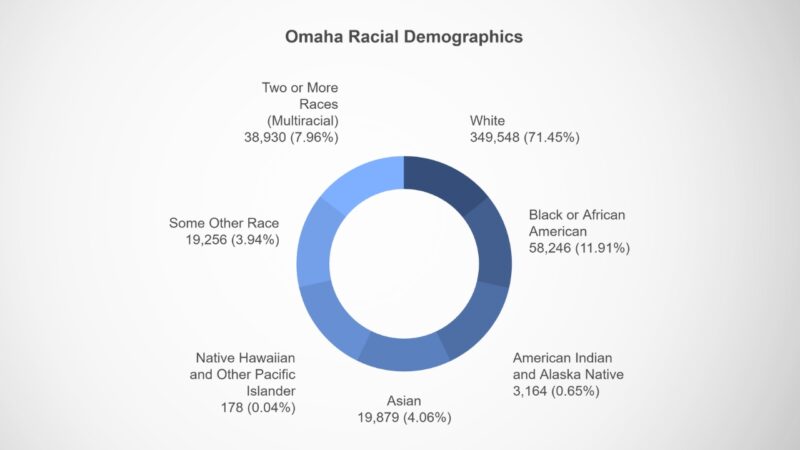 Omaha Ethnic Diversity and Race Chart