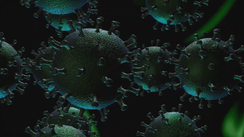 A Close-Up of Viral Particles Representing the RSV Virus