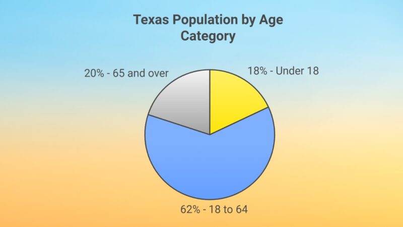 Texas Population by Age Category Chart