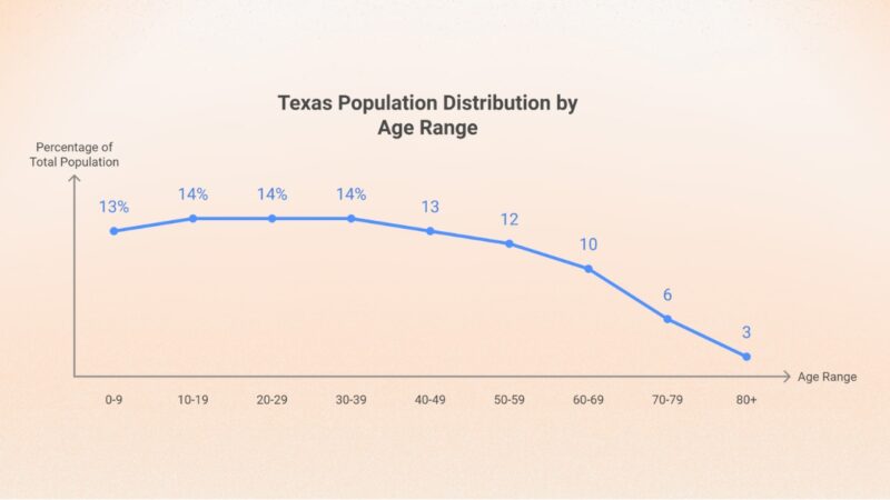 Texas Population by Age Range Chart