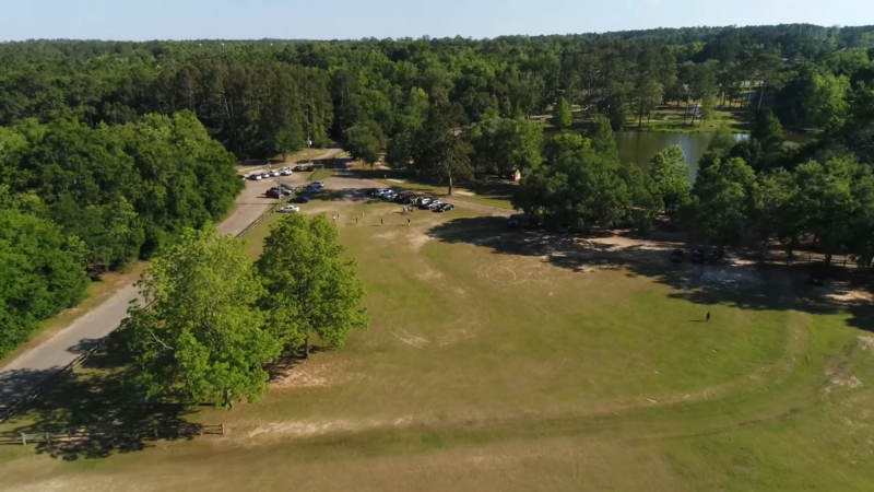 An Open Field with Trees and A Pond at Tom Brown Park in Tallahassee