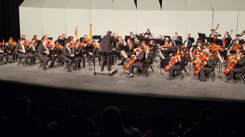 The Albany Symphony Orchestra Performing on Stage