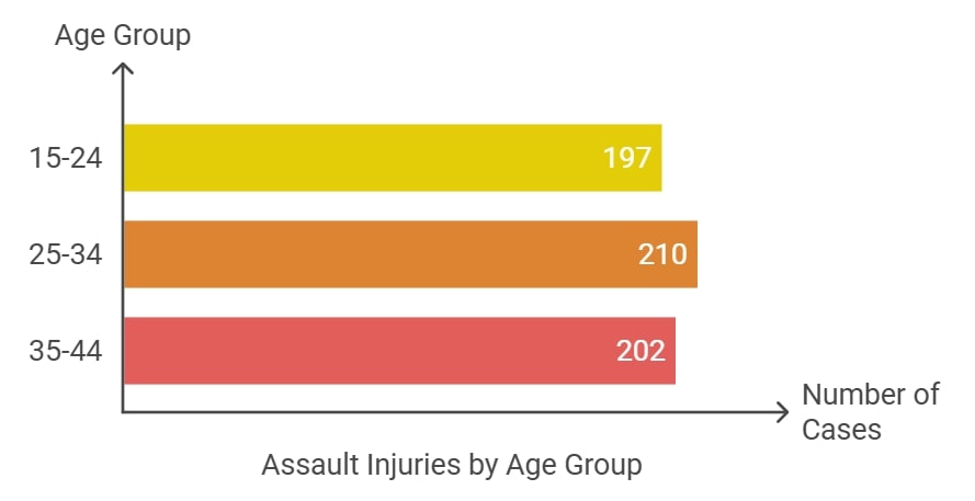 A horizontal bar graph highlighting assault injuries by age groups