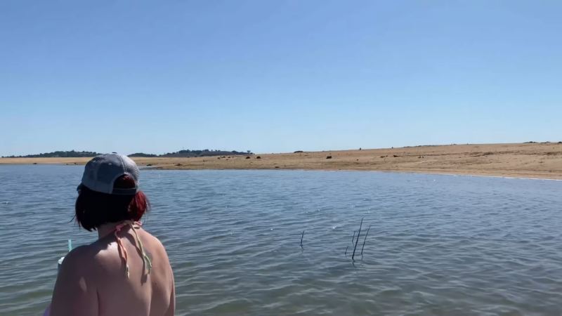 A Woman Standing Near the Water at Folsom Lake