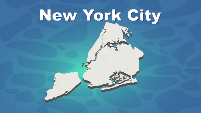 Simplified Geography Map of New York City 