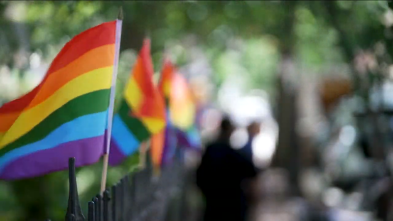 Rainbow Flags on A Fence in New York City Showing LGBT Pride