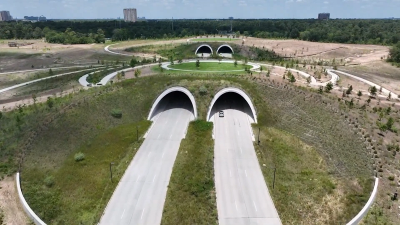 Aerial View of Memorial Park in Houston