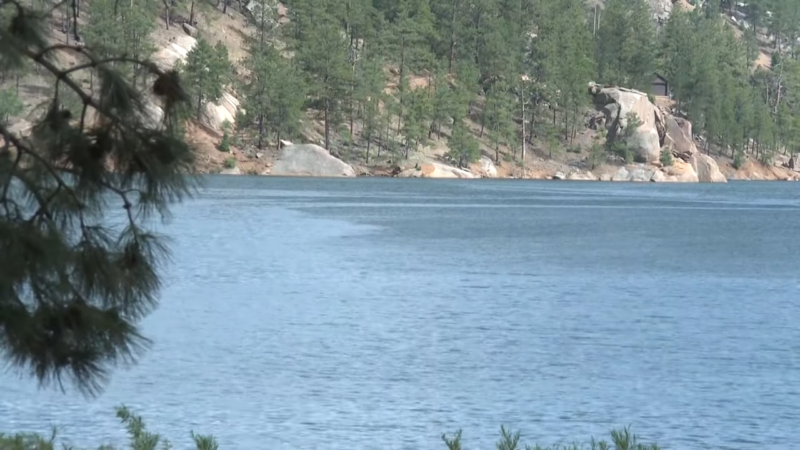 The South Platte River Surrounded by Pine Trees and Rocky Shores in Colorado