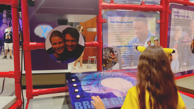 A Child Interacts with An Exhibit About the Brain at The Health Museum in Houston