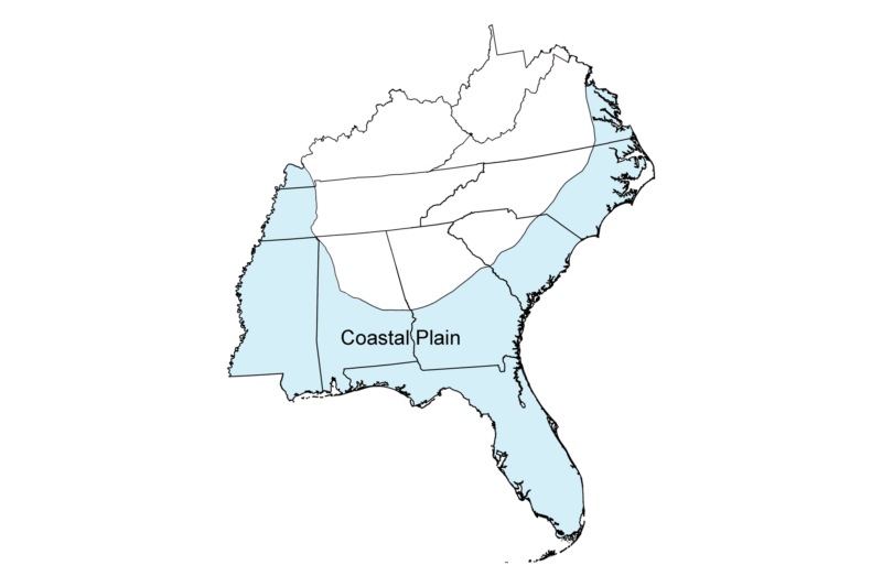 Topography of the Coastal Plain in Georgia