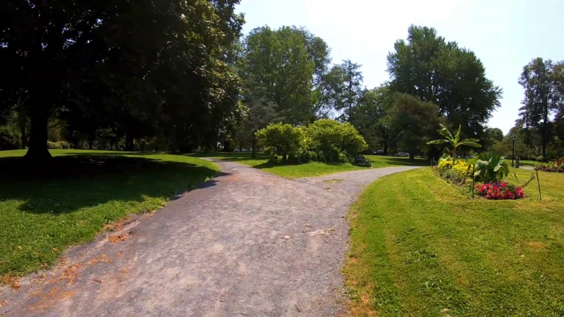 A Sunny View of Washington Park in Albany