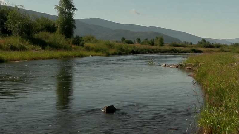 The Yampa River Flows Through a Grassy Valley with Distant Mountains in Colorado