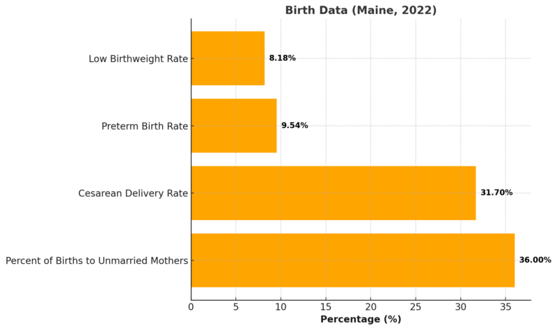 Birth Data Chart (Maine, 2022)